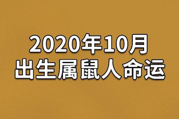 1984年出生的鼠年人：命运与人生的精彩篇章