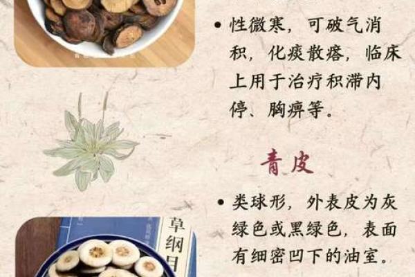 风水命数6的命理解析：探秘生命的奥秘与幸福之路