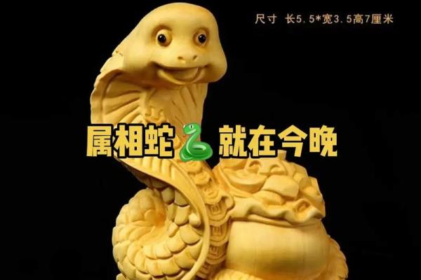 2013蛇年命理揭秘：解读生肖蛇与人生的神秘关系