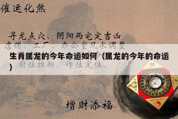 揭秘卯时出生属龙女的特殊命格与运势分析
