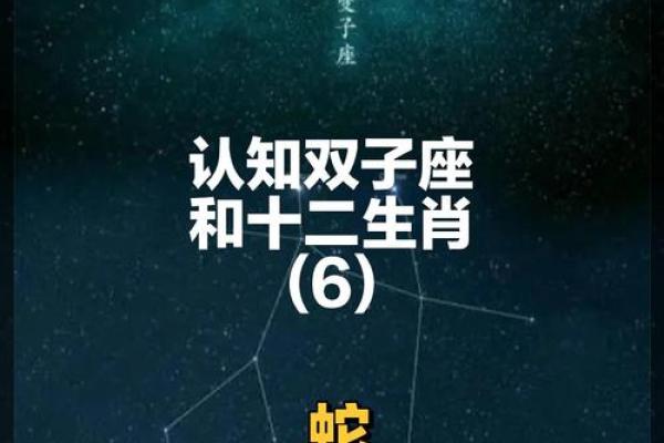 2001年属蛇人的命运与性格解析