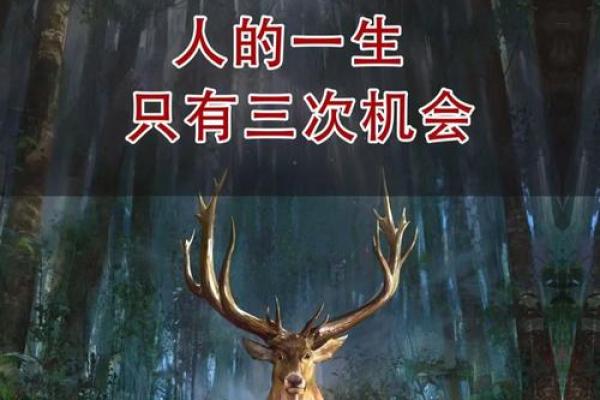 1987年木牛命的人生特点与命运探秘