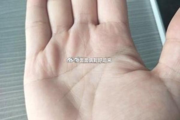 探秘手纹学：解码你的命运与人生之路！