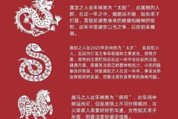 童子命的眼部特征与命理的奥秘探析