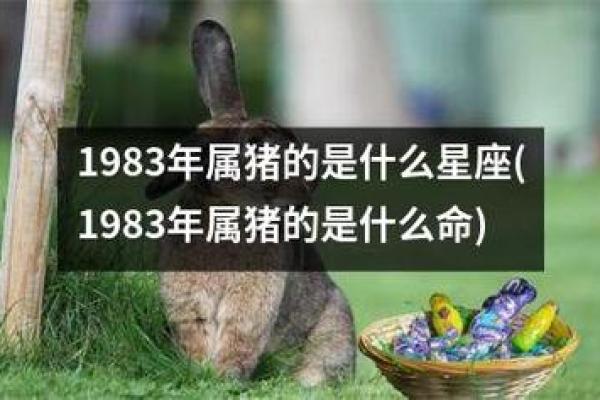 2007年小猪的命运解读与生活指南
