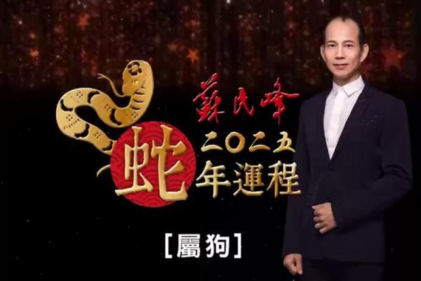 2008年狗年命理解析：你的狗年命里藏着哪些秘密？