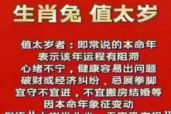 2006属兔命理解析：了解你的财富与性格特征