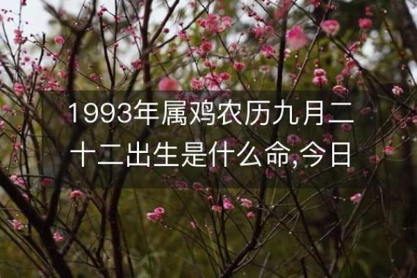 农历20日出生的人命有什么独特之处？揭秘其命理与人生轨迹！