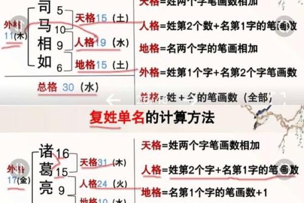1962年阴历所代表的生肖命运探秘：了解你的命格与人生