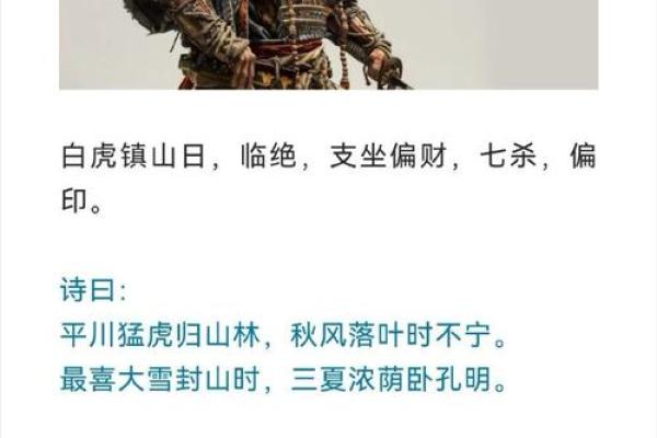 宝宝出生于大雪天，命理解析与成长启示