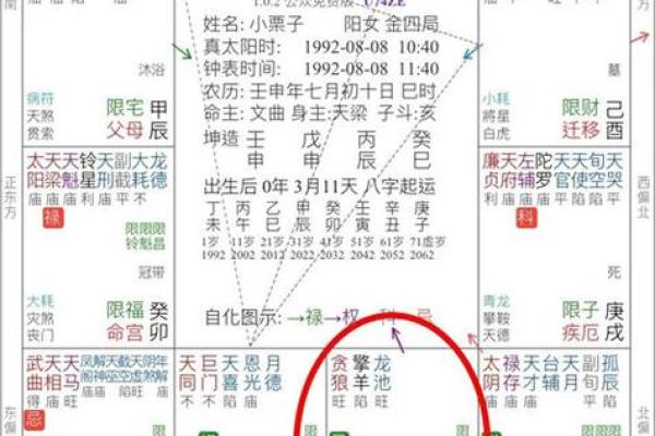 如何通过紫微命盘理解一个人的命运优劣？揭示命运奥秘！