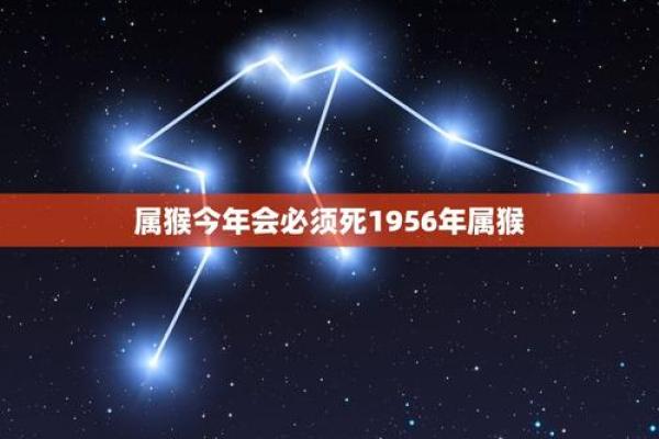 1956年属猴人的命运与性格解析，生活与事业的精彩篇章