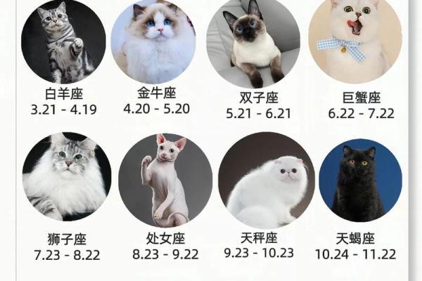 十二星座的命运揭秘：你这一生会遇到什么？