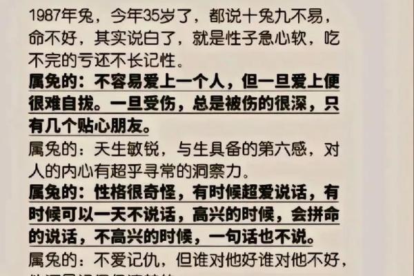 87年12月出生的人命运解析与人生启示