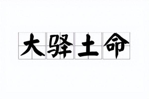51土命猴：揭秘你的运势与未来发展