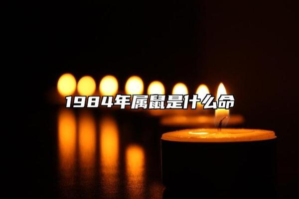 海中金命者事业发展指南：把握机会，迎接挑战！