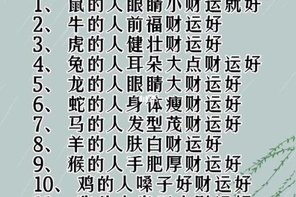 属猪金命者适合的颜色与生活运势的关系解析