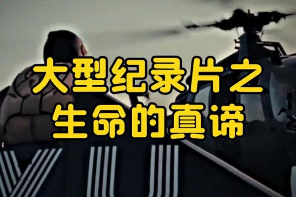 品味生命的真谛：在日常中发现意义和乐趣