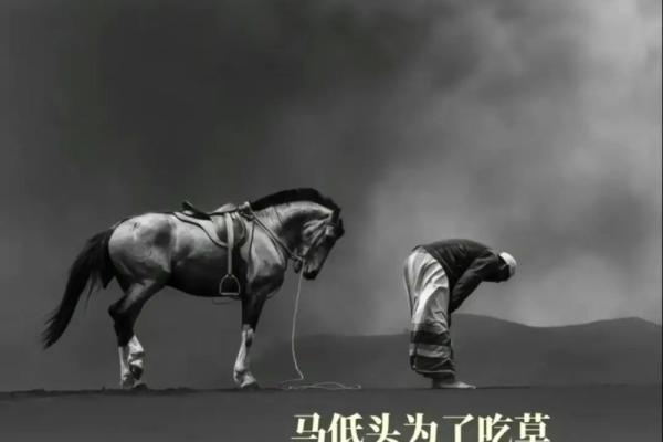 属鸡人的命运与性格解析：探索他们的独特人生轨迹