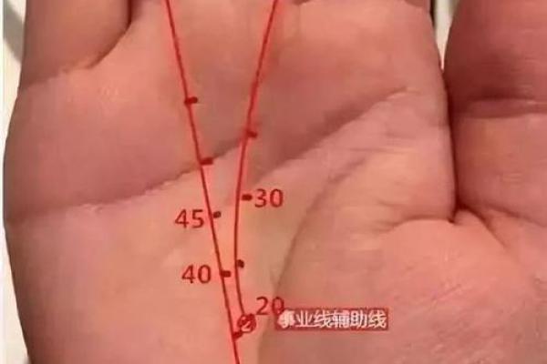 揭示拇指的秘密：怎样从你的拇指看出富贵命格