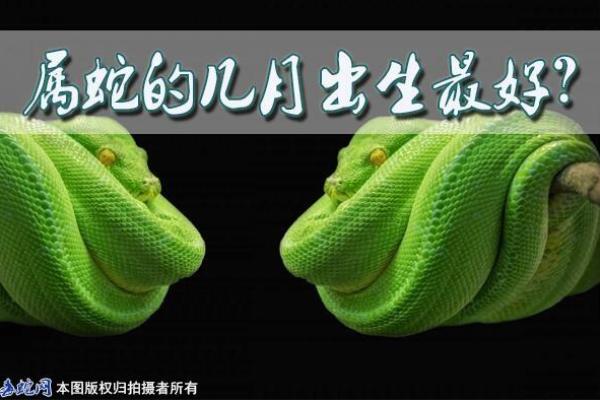 解读2023蛇年33岁属什么命，揭开命运与性格之谜！