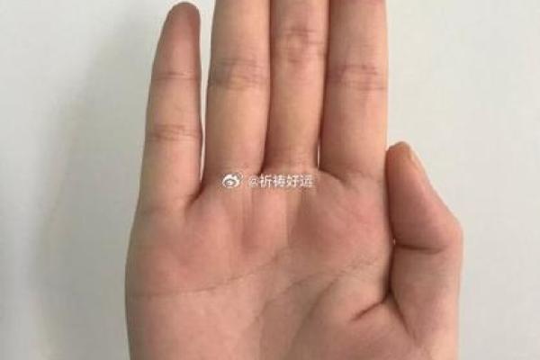 探秘紫薇命格：揭开你的命运之谜，走向美好人生