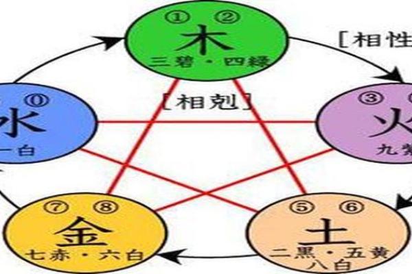 如何判断一个人是否属于木命：探寻五行中的木命特征与影响