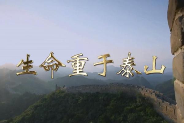 背负几条命的旅程，生命的重量与意义思考