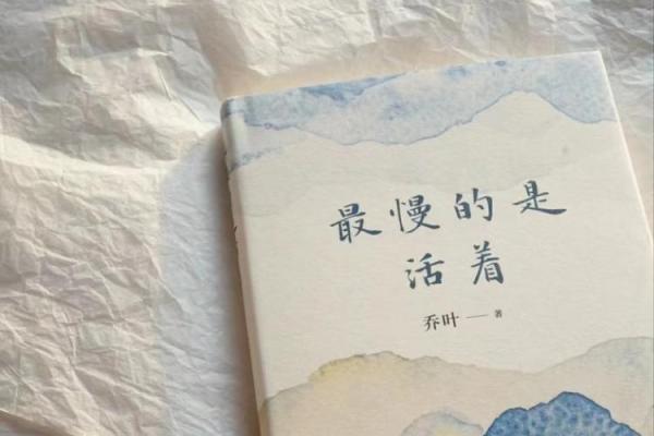 背负几条命的旅程，生命的重量与意义思考