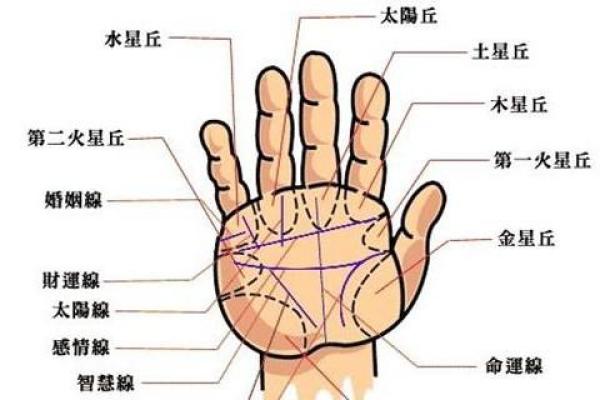63年11月出生的人命运与性格解析