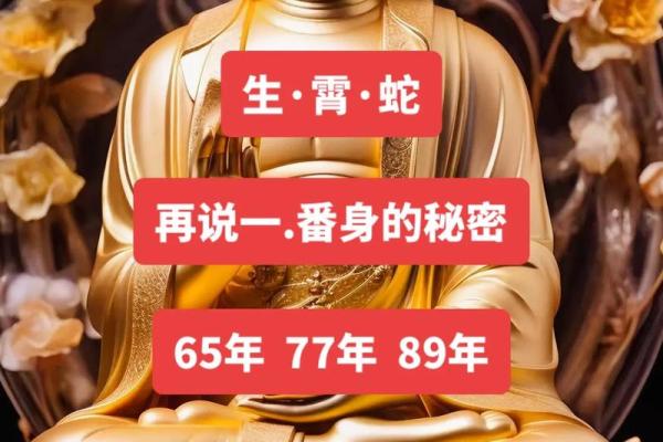 77年正月出生的蛇命人，命运与性格的深度解析