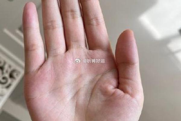 称骨3.9命解析：揭示女性命运的玄机与智慧