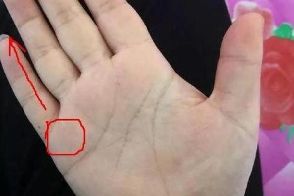手相揭秘：哪些特征注定你一生单身？