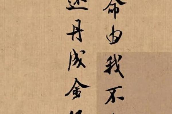 星座与命格：从星空看人生的轨迹与选择