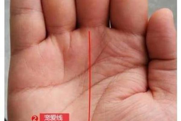 2008年出生的人命运解析：如何掌握自己的未来与幸福