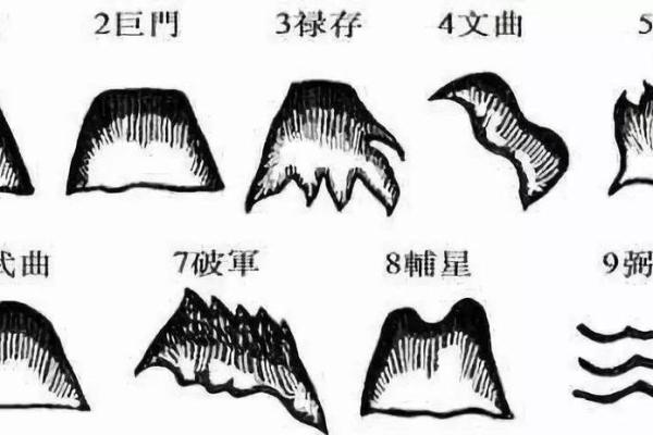 辛巳仙命：探寻适合的山头与风水启示之旅