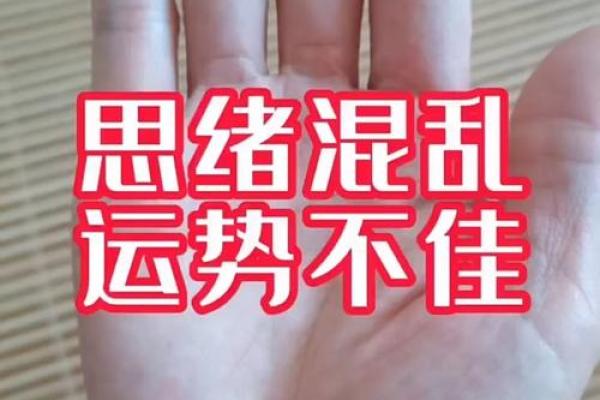 辛酉丙申乙酉丙子：命理解析与人生智慧