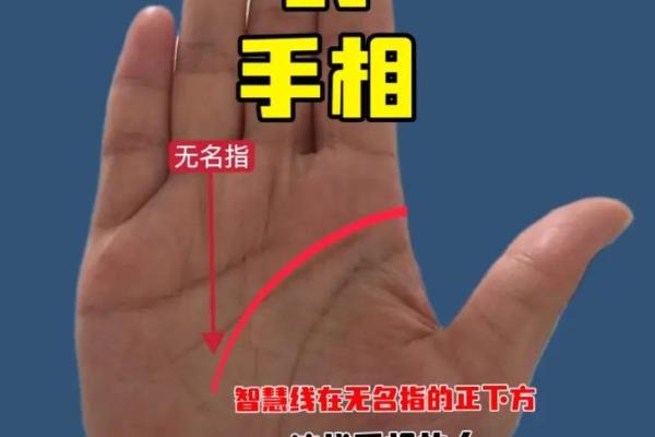 通过手相看命运：揭示你未来的秘密