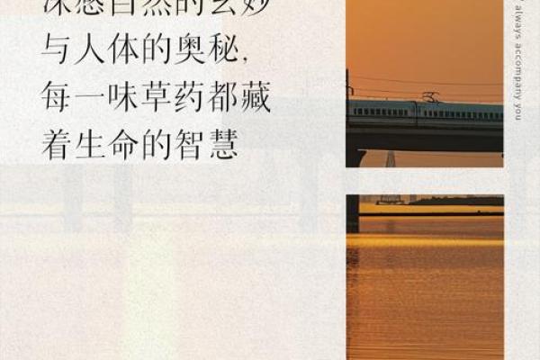 楼层14的命运：探寻与生命的奥秘