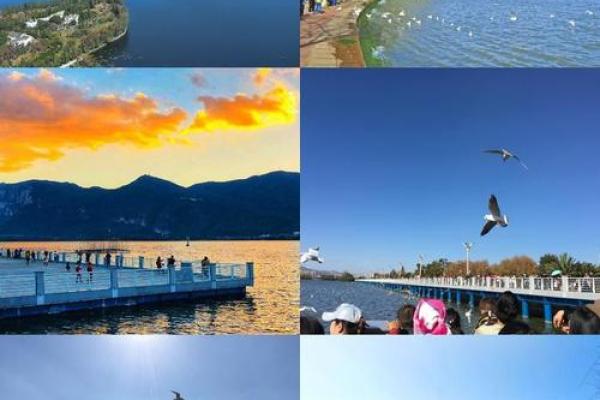 在音乐的海洋中游弋，畅享《玩儿什么命啊》的魅力之旅！