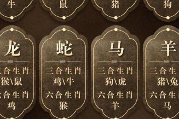 属猪95年命运解析：人生的三大关键与豁然开朗的智慧之路