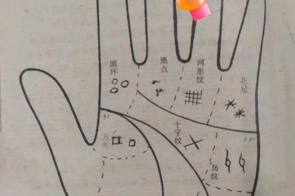 手相秘术：从掌纹中洞察你的命运与未来