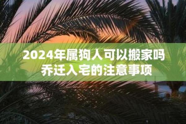 19934年属狗：探寻命理与人生的奥秘