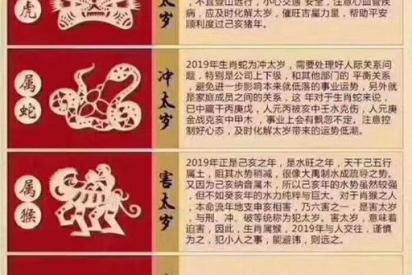 1996正月出生的人命运解析：探索你的生肖与命理之谜