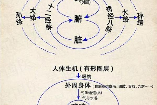 金铂金命与相克关系探析：如何平衡人生的五行能量