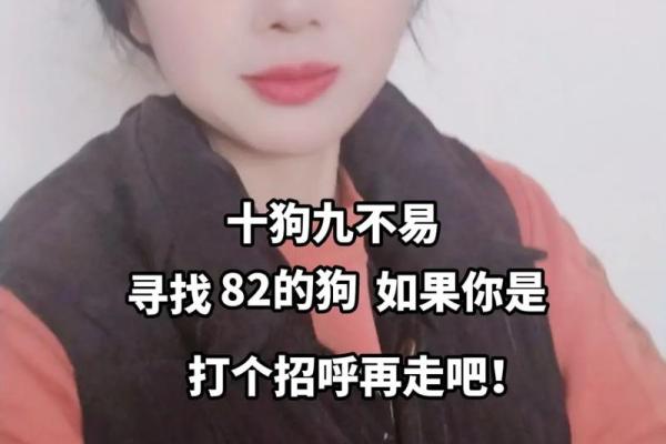 探索82年腊月狗的命运之秘：一生的运势与性格解析