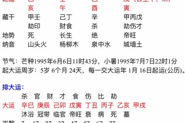 乙亥年出生的人命运解析：揭秘他们的性格与人生机遇