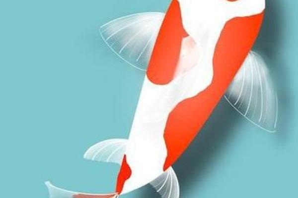 命理揭秘：为什么不能纹鲤鱼？深度解析与禁忌