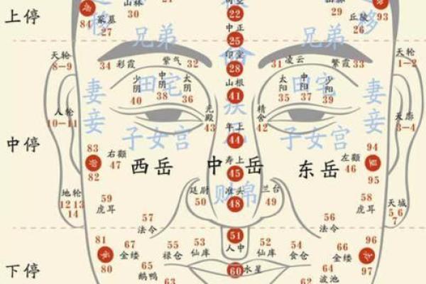贵子命：富贵繁荣的命理解析与人生启发
