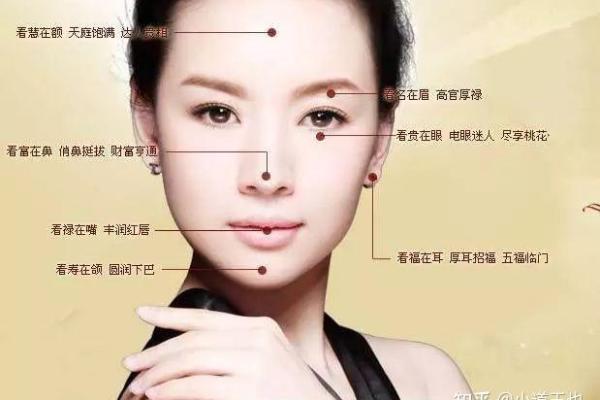 耳朵下面尖的人命运解析：神秘的面相与人生轨迹